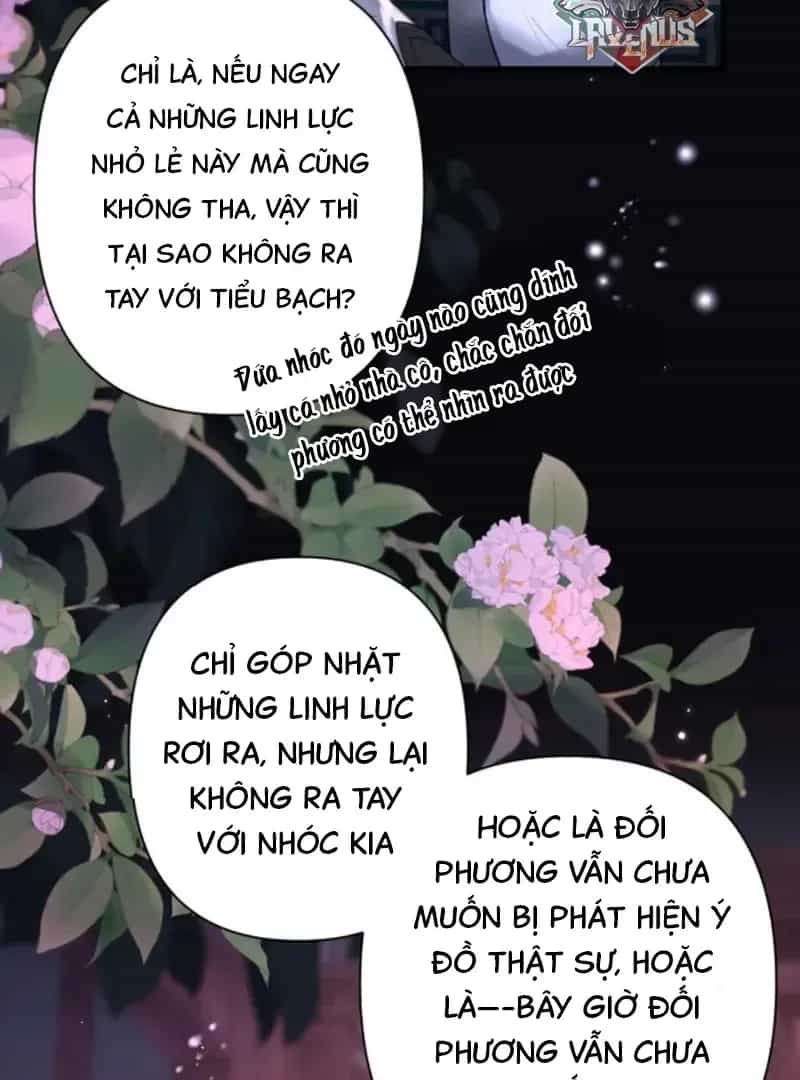 Đến Đông Hải Tìm Mỹ Nhân - Chương 64 - ảnh 6
