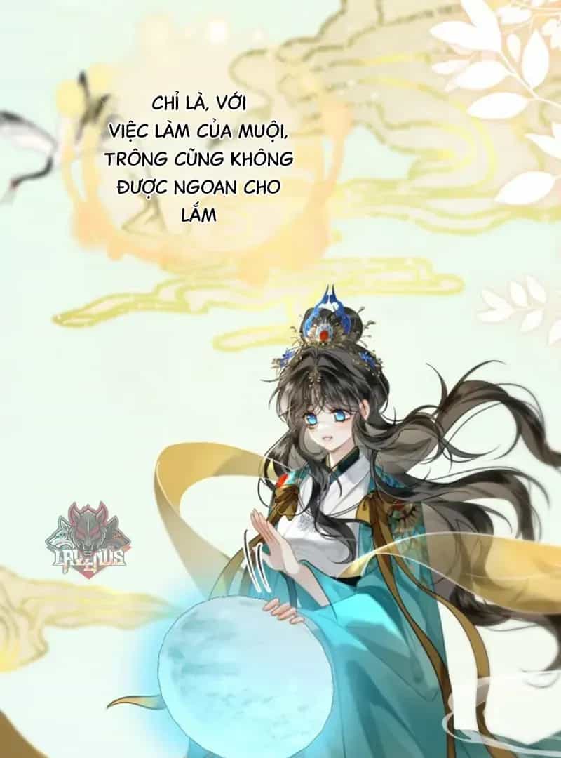 Đến Đông Hải Tìm Mỹ Nhân - Chương 66 - ảnh 14
