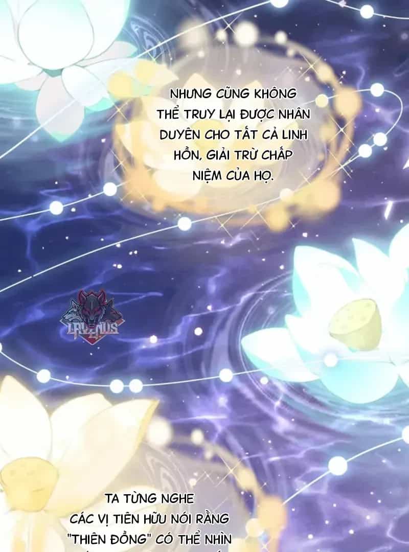 Đến Đông Hải Tìm Mỹ Nhân - Chương 66 - ảnh 41