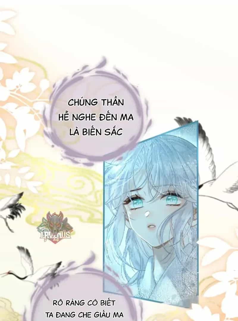 Đến Đông Hải Tìm Mỹ Nhân - Chương 66 - ảnh 9
