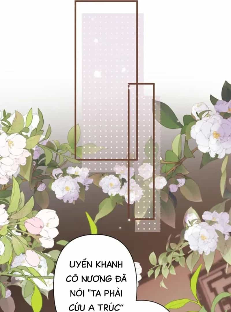 Đến Đông Hải Tìm Mỹ Nhân - Chương 67 - ảnh 26