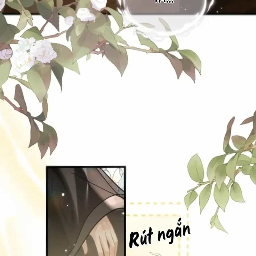 Đến Đông Hải Tìm Mỹ Nhân - Chương 69 - ảnh 16