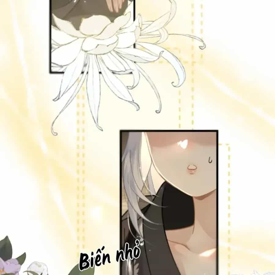 Đến Đông Hải Tìm Mỹ Nhân - Chương 69 - ảnh 17