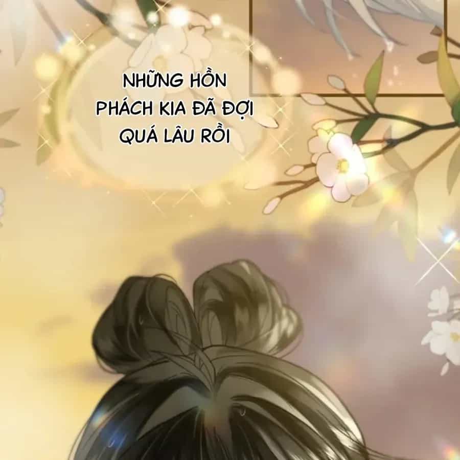 Đến Đông Hải Tìm Mỹ Nhân - Chương 69 - ảnh 43