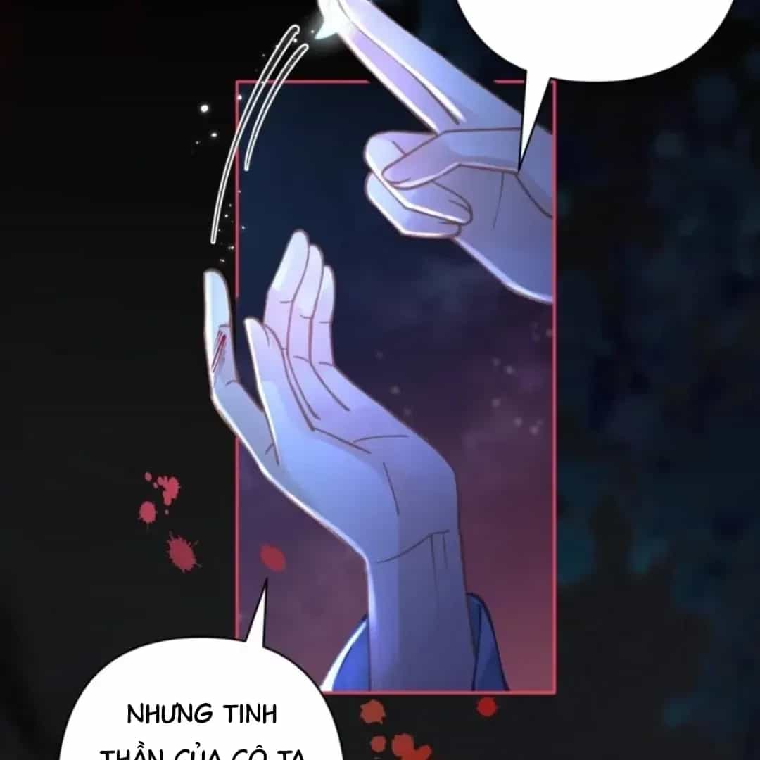Đến Đông Hải Tìm Mỹ Nhân - Chương 71 - ảnh 16