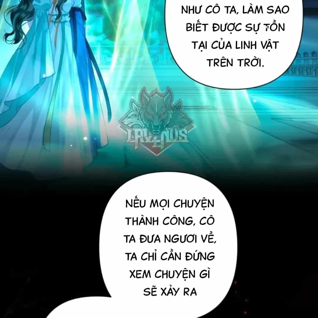 Đến Đông Hải Tìm Mỹ Nhân - Chương 71 - ảnh 29