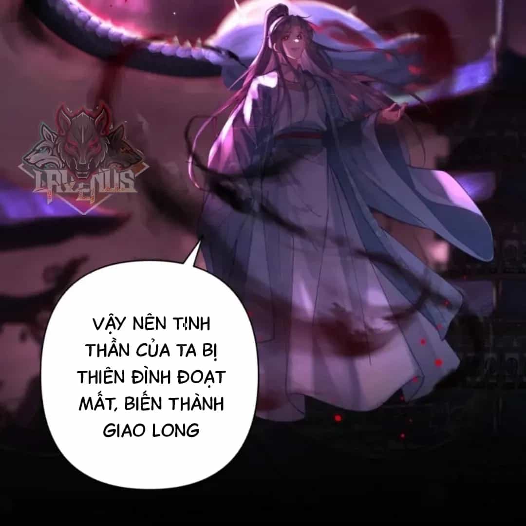Đến Đông Hải Tìm Mỹ Nhân - Chương 71 - ảnh 40