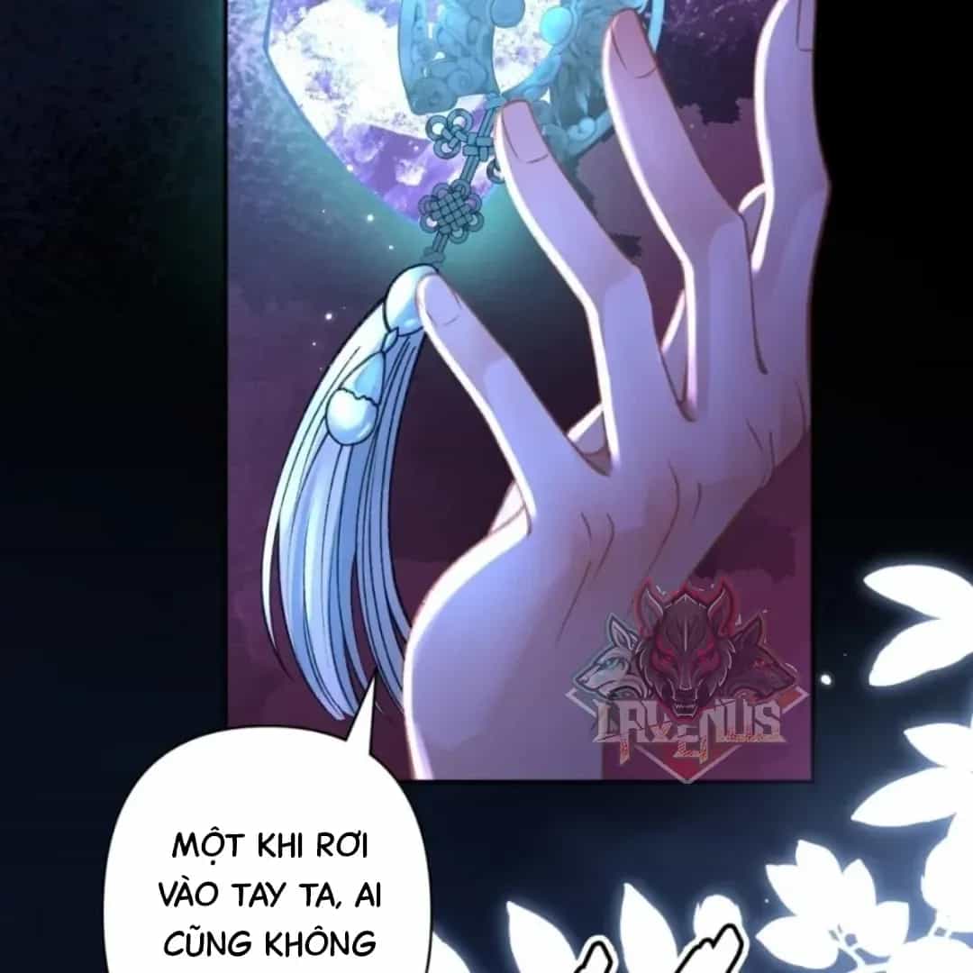 Đến Đông Hải Tìm Mỹ Nhân - Chương 71 - ảnh 72