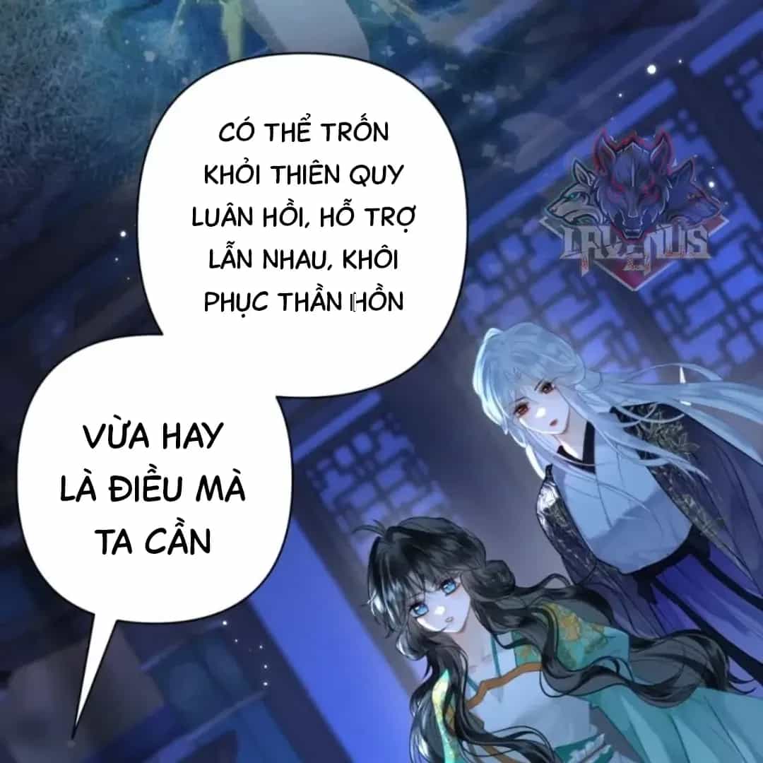 Đến Đông Hải Tìm Mỹ Nhân - Chương 71 - ảnh 81