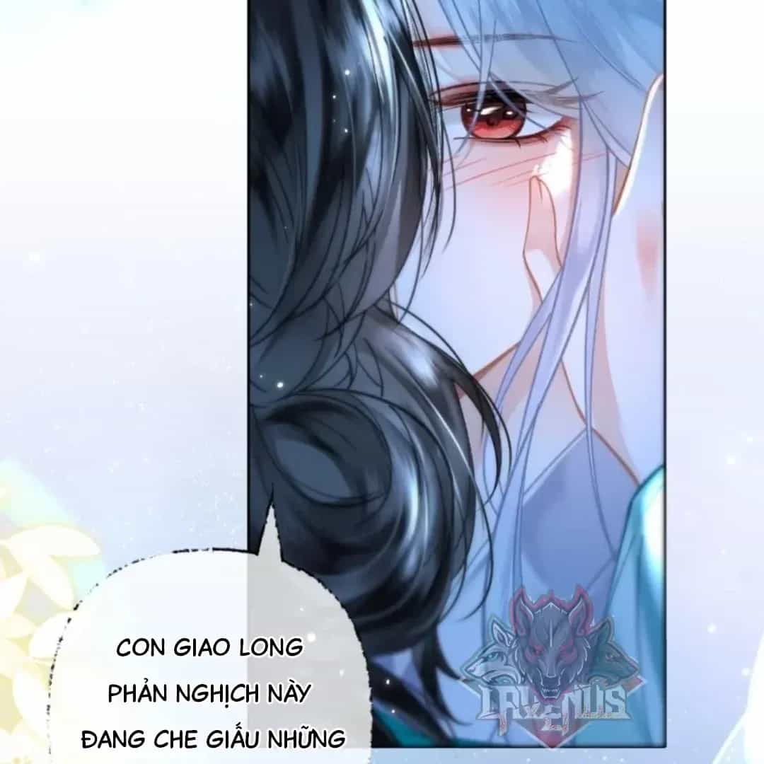 Đến Đông Hải Tìm Mỹ Nhân - Chương 71 - ảnh 96