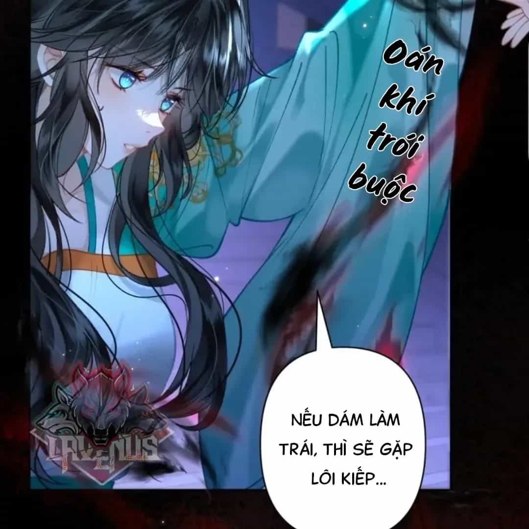 Đến Đông Hải Tìm Mỹ Nhân - Chương 72 - ảnh 14