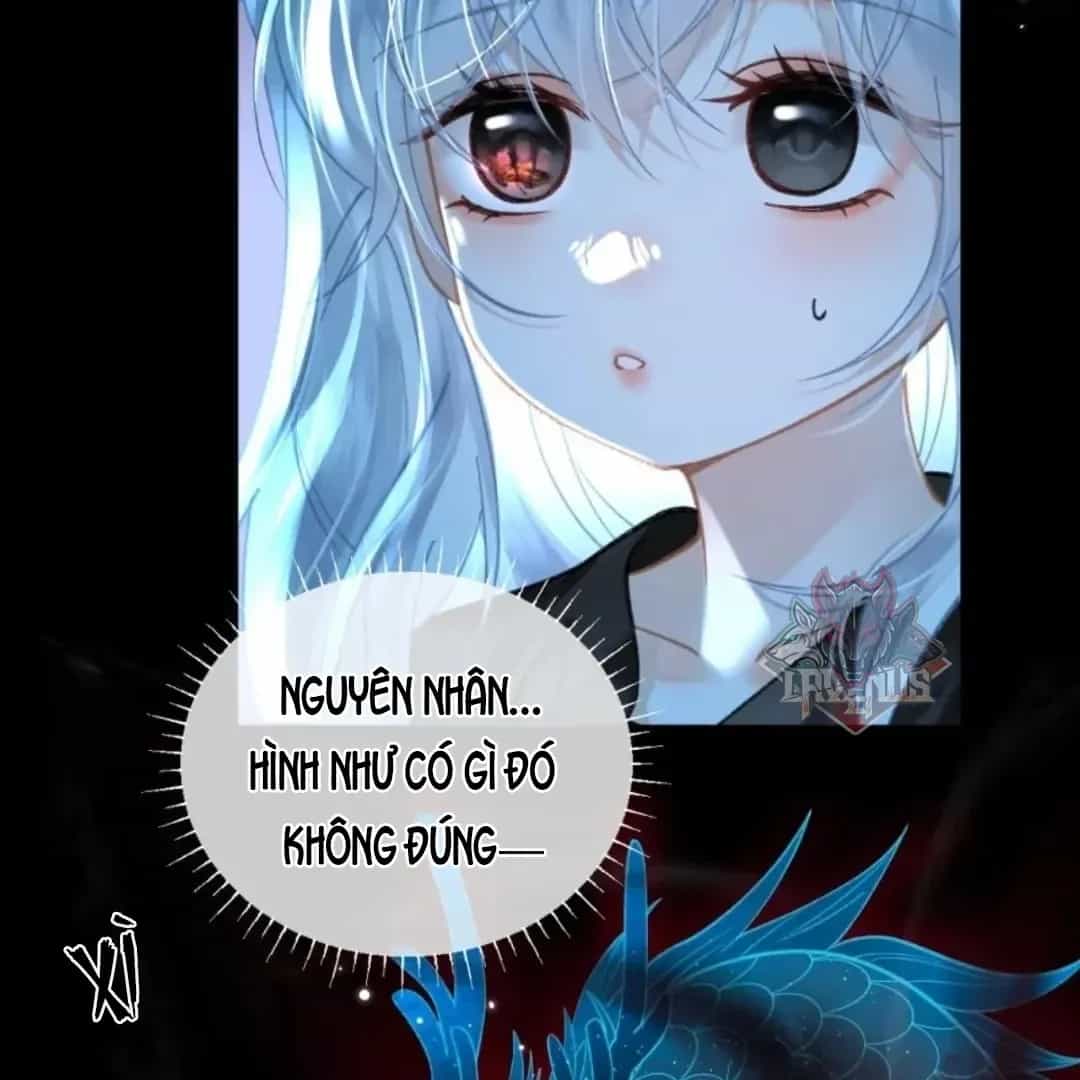 Đến Đông Hải Tìm Mỹ Nhân - Chương 73 - ảnh 33