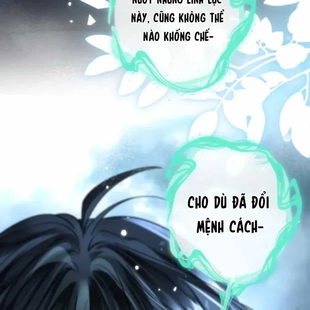 Đến Đông Hải Tìm Mỹ Nhân - Chương 73 - ảnh 50