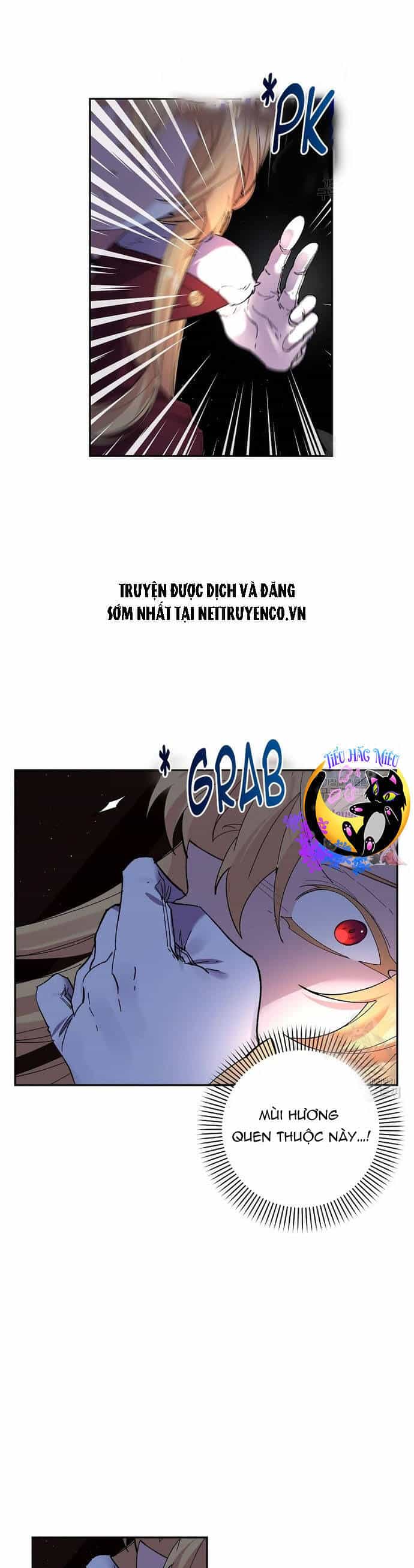 Đeo Bám Tôi Cũng Vô Ích Thôi - Chương 50 - ảnh 19