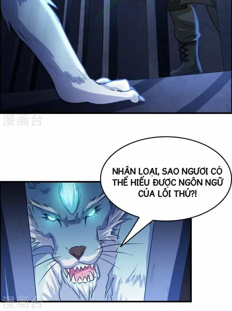 Dị Giới Cung Ứng Thương - Chương 37 - ảnh 26