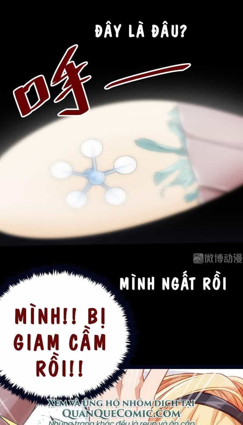 Dị Năng Của Ngươi Là Của Ta Rồi - Chương 0 - ảnh 13