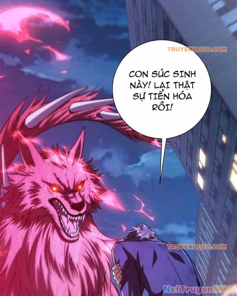 Dị Năng Trùng Sinh Ta Sớm Ở Đỉnh Cao - Chương 11 - ảnh 3