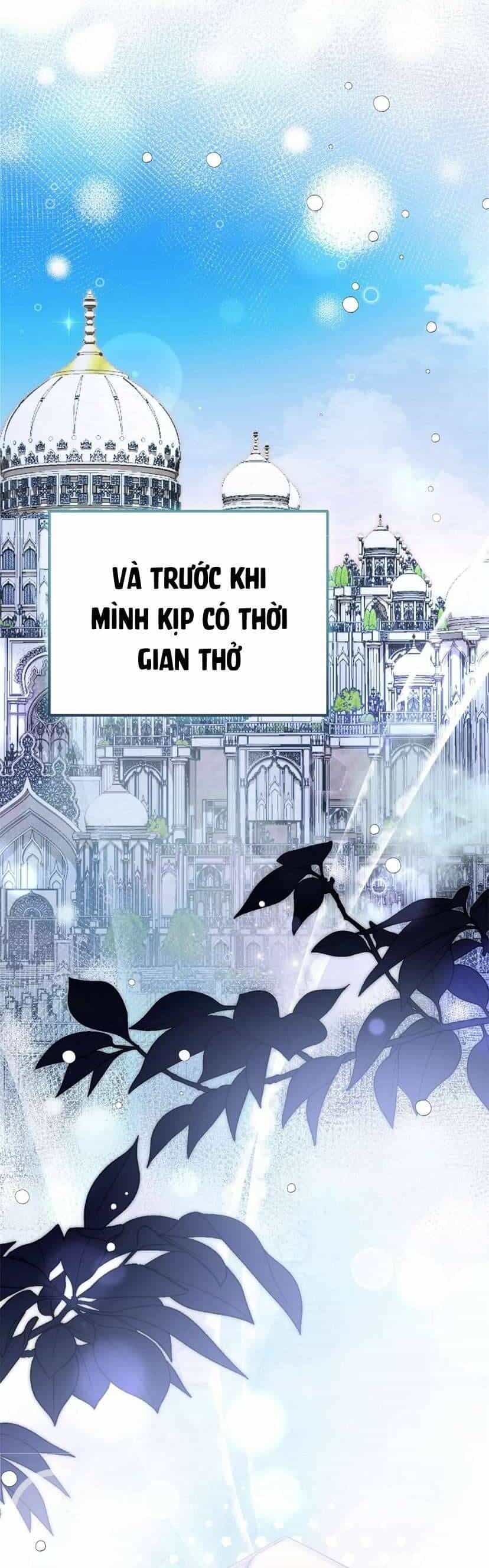 Di Nguyện Của Tôi Không Phải Như Thế - Chương 23 - ảnh 8