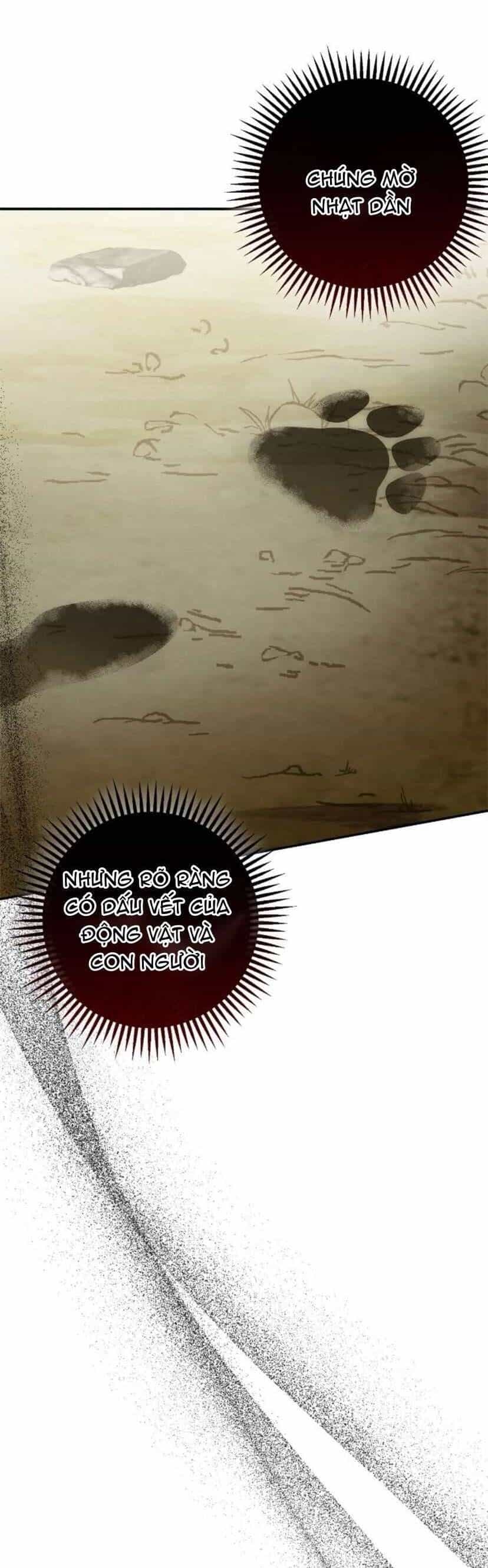 Di Nguyện Của Tôi Không Phải Như Thế - Chương 25 - ảnh 9
