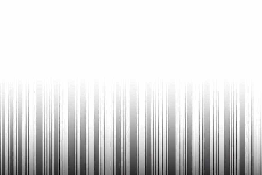 Đi Săn Tự Động Bằng Phân Thân - Chương 6 - ảnh 77