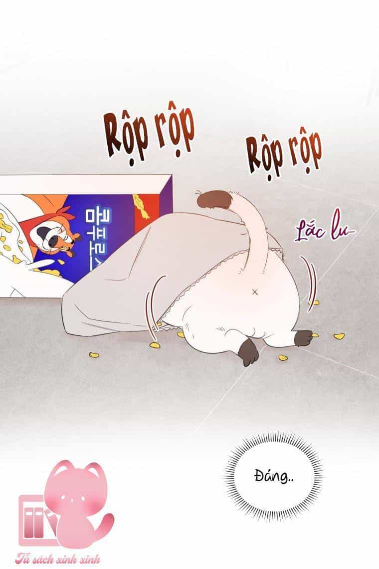 Dịch Vụ Chuyển Phát Hình Mẫu Lý Tưởng - Chương 11 - ảnh 55