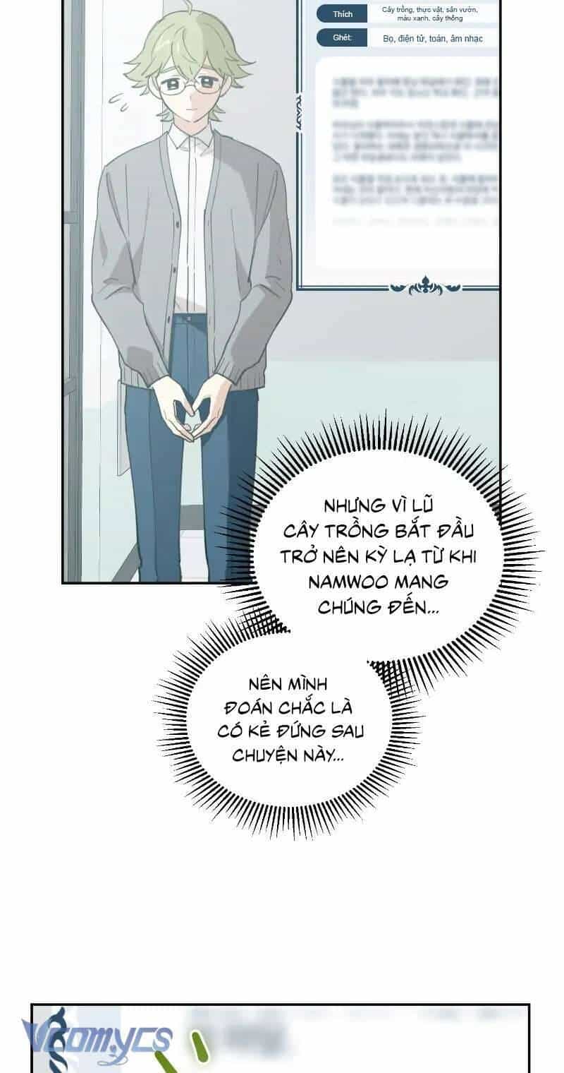 Điều Ước Sao Băng - Chương 11 - ảnh 21