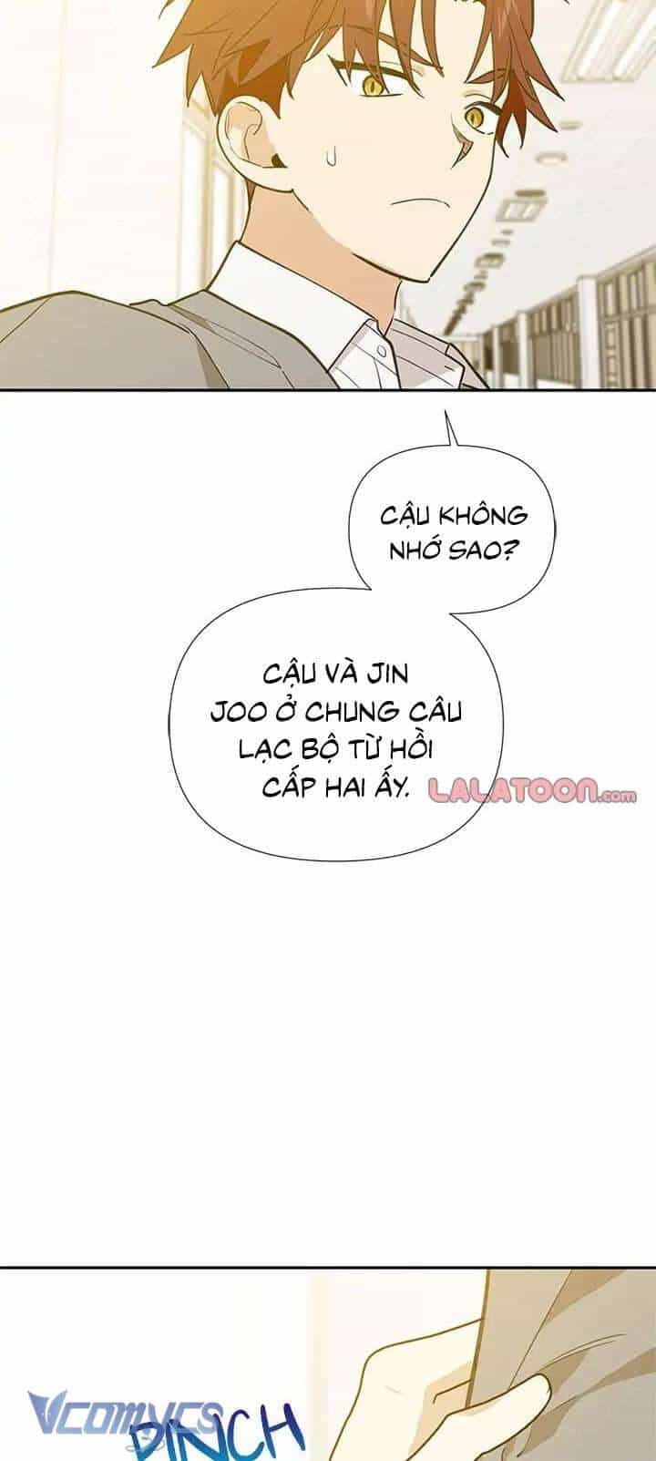 Điều Ước Sao Băng - Chương 56 - ảnh 8