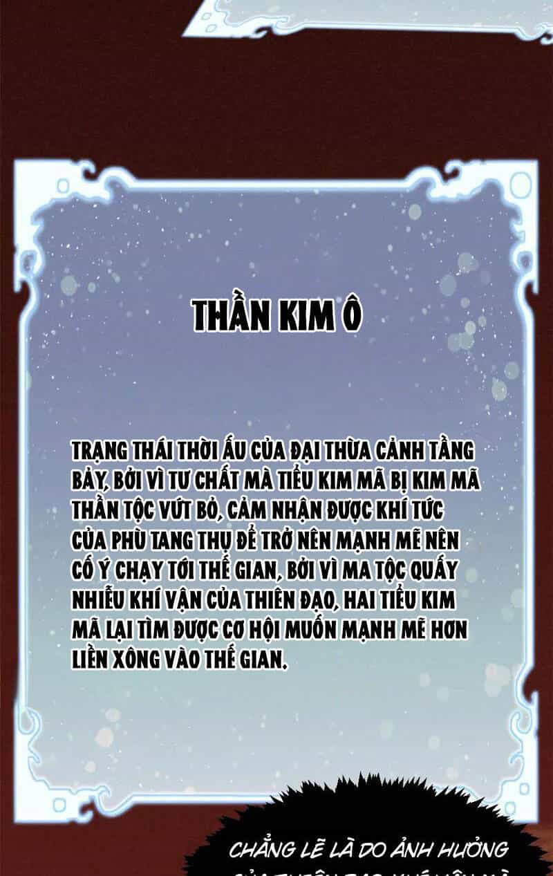 Đỉnh Cấp Khí Vận, Lặng Lẽ Tu Luyện Ngàn Năm - Chương 151 - ảnh 19