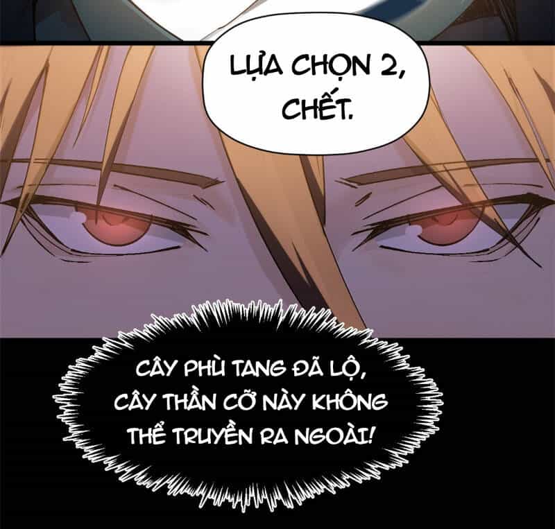 Đỉnh Cấp Khí Vận, Lặng Lẽ Tu Luyện Ngàn Năm - Chương 163 - ảnh 21