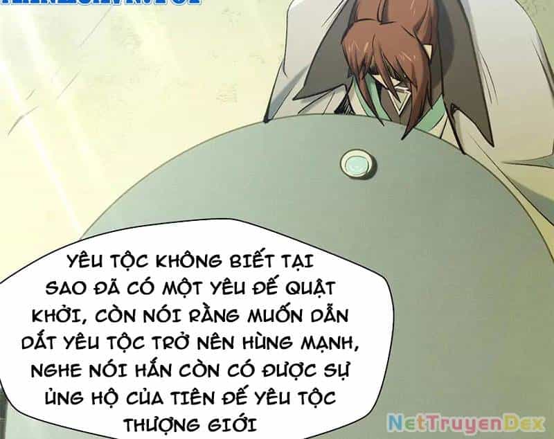 Đỉnh Cấp Khí Vận, Lặng Lẽ Tu Luyện Ngàn Năm - Chương 197 - ảnh 45