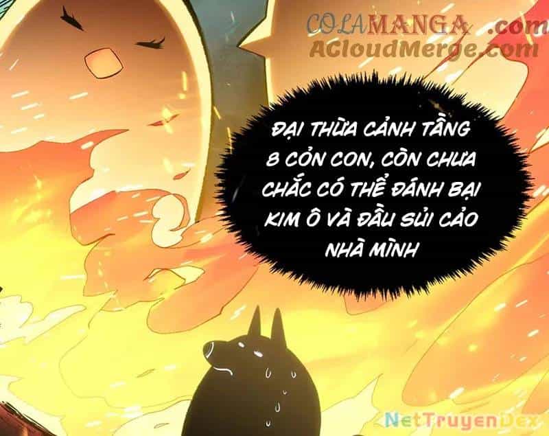 Đỉnh Cấp Khí Vận, Lặng Lẽ Tu Luyện Ngàn Năm - Chương 198 - ảnh 14
