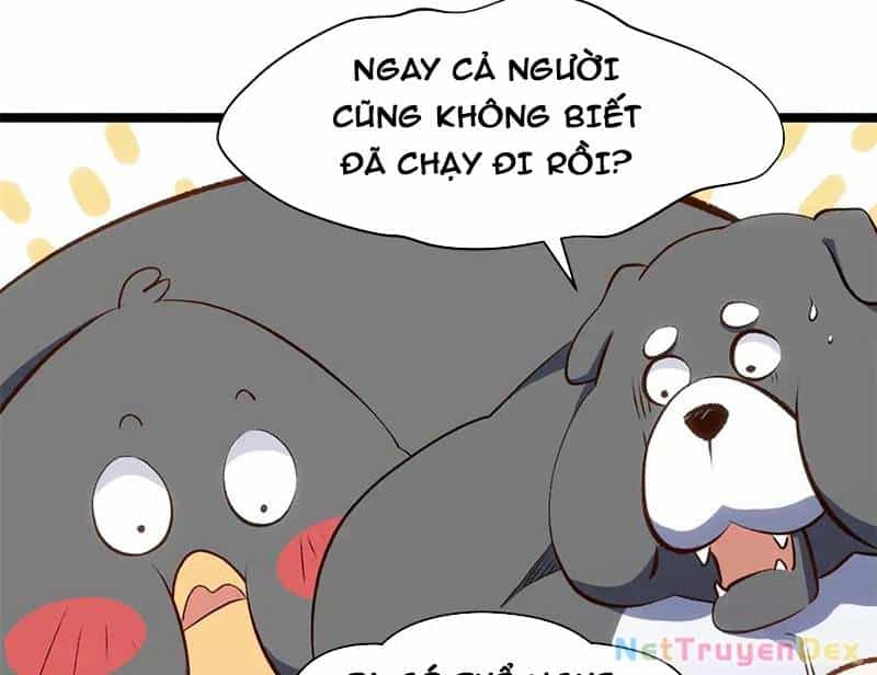 Đỉnh Cấp Khí Vận, Lặng Lẽ Tu Luyện Ngàn Năm - Chương 199 - ảnh 15