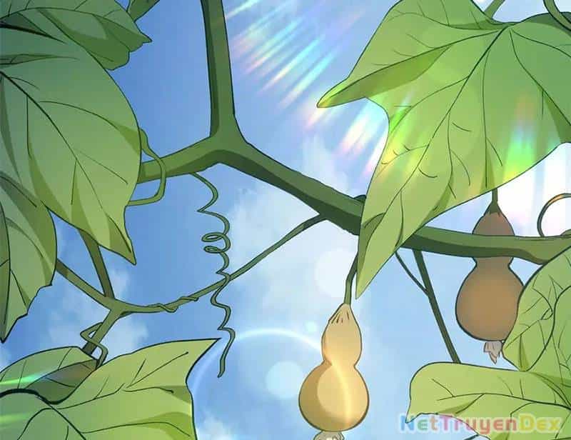 Đỉnh Cấp Khí Vận, Lặng Lẽ Tu Luyện Ngàn Năm - Chương 199 - ảnh 30