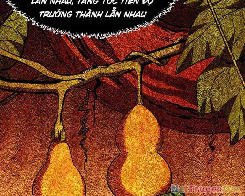 Đỉnh Cấp Khí Vận, Lặng Lẽ Tu Luyện Ngàn Năm - Chương 199 - ảnh 40