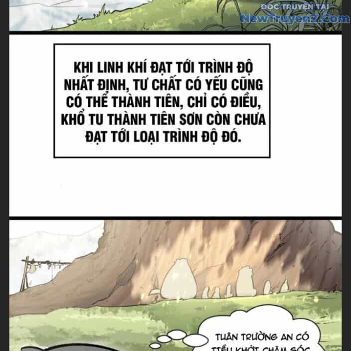 Đỉnh Cấp Khí Vận, Lặng Lẽ Tu Luyện Ngàn Năm - Chương 212 - ảnh 33