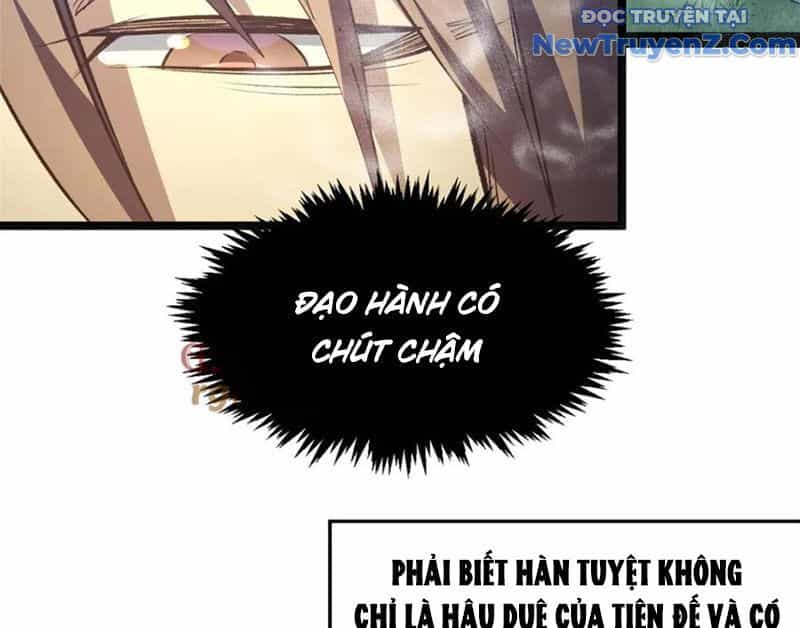 Đỉnh Cấp Khí Vận, Lặng Lẽ Tu Luyện Ngàn Năm - Chương 213 - ảnh 4