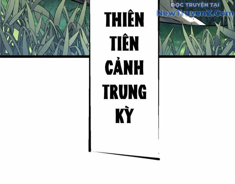 Đỉnh Cấp Khí Vận, Lặng Lẽ Tu Luyện Ngàn Năm - Chương 213 - ảnh 8