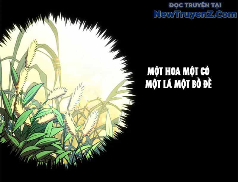 Đỉnh Cấp Khí Vận, Lặng Lẽ Tu Luyện Ngàn Năm - Chương 214 - ảnh 79