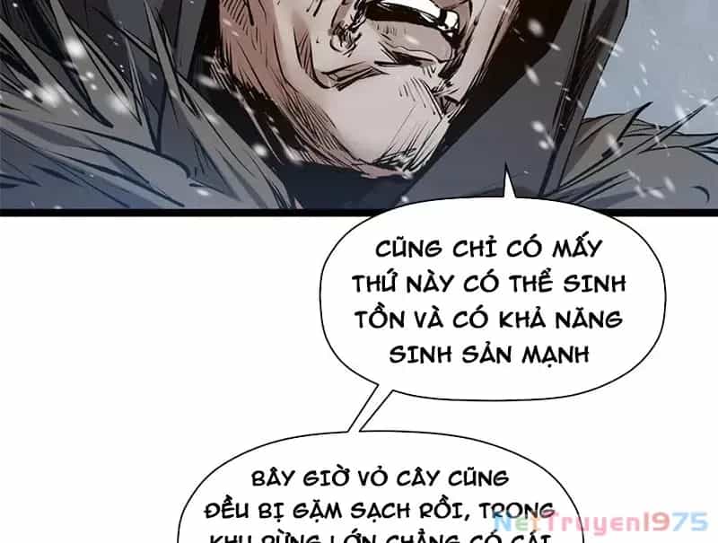 Đỉnh Cấp Khí Vận, Lặng Lẽ Tu Luyện Ngàn Năm - Chương 217 - ảnh 12