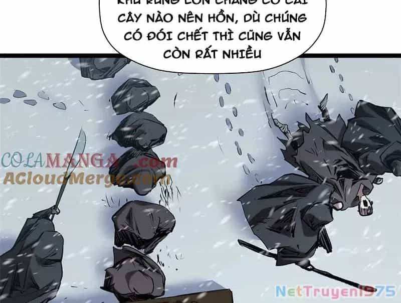 Đỉnh Cấp Khí Vận, Lặng Lẽ Tu Luyện Ngàn Năm - Chương 217 - ảnh 13