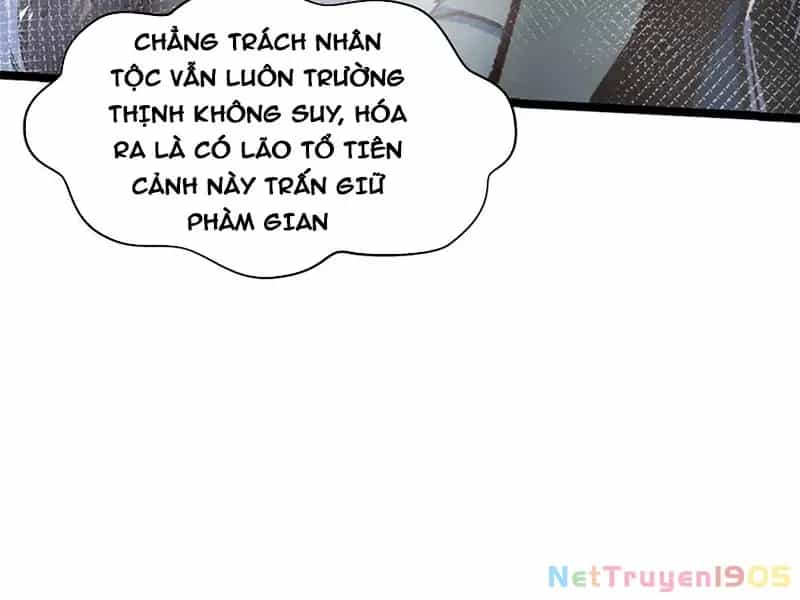 Đỉnh Cấp Khí Vận, Lặng Lẽ Tu Luyện Ngàn Năm - Chương 219 - ảnh 11