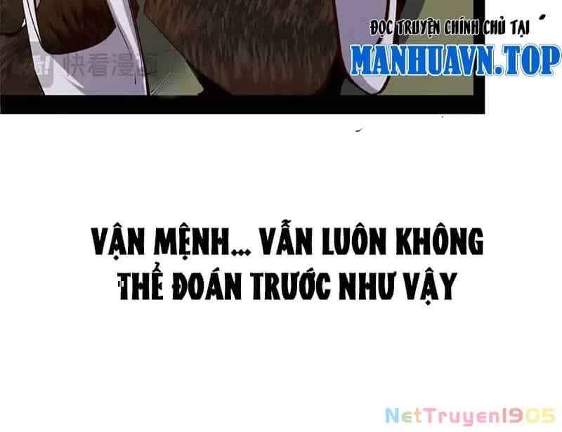 Đỉnh Cấp Khí Vận, Lặng Lẽ Tu Luyện Ngàn Năm - Chương 219 - ảnh 129