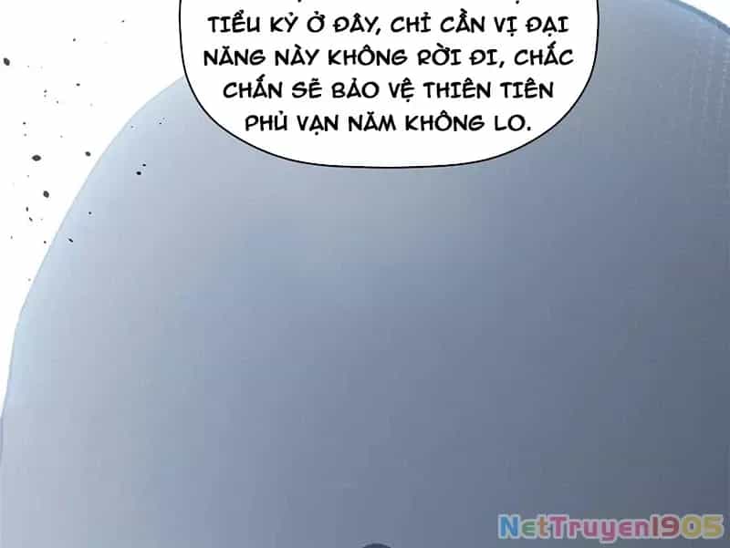 Đỉnh Cấp Khí Vận, Lặng Lẽ Tu Luyện Ngàn Năm - Chương 219 - ảnh 14