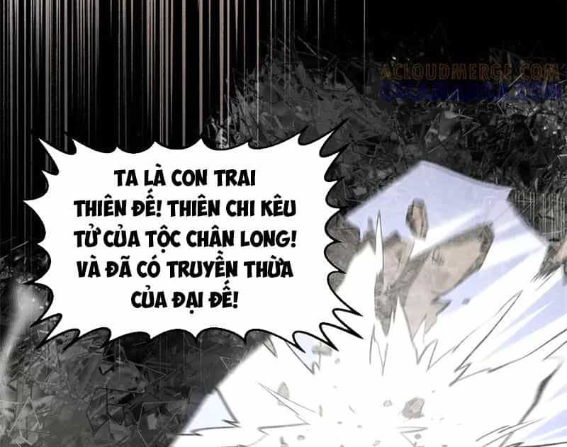 Đỉnh Cấp Khí Vận, Lặng Lẽ Tu Luyện Ngàn Năm - Chương 223 - ảnh 44