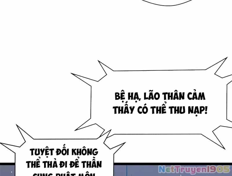 Đỉnh Cấp Khí Vận, Lặng Lẽ Tu Luyện Ngàn Năm - Chương 225 - ảnh 15