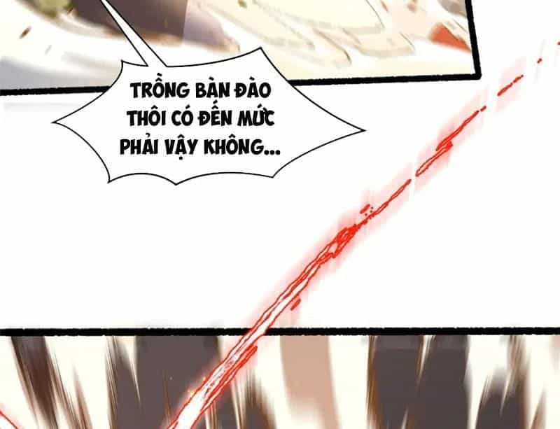 Đỉnh Cấp Khí Vận, Lặng Lẽ Tu Luyện Ngàn Năm - Chương 286 - ảnh 142