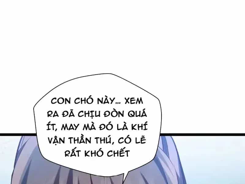 Đỉnh Cấp Khí Vận, Lặng Lẽ Tu Luyện Ngàn Năm - Chương 297 - ảnh 97