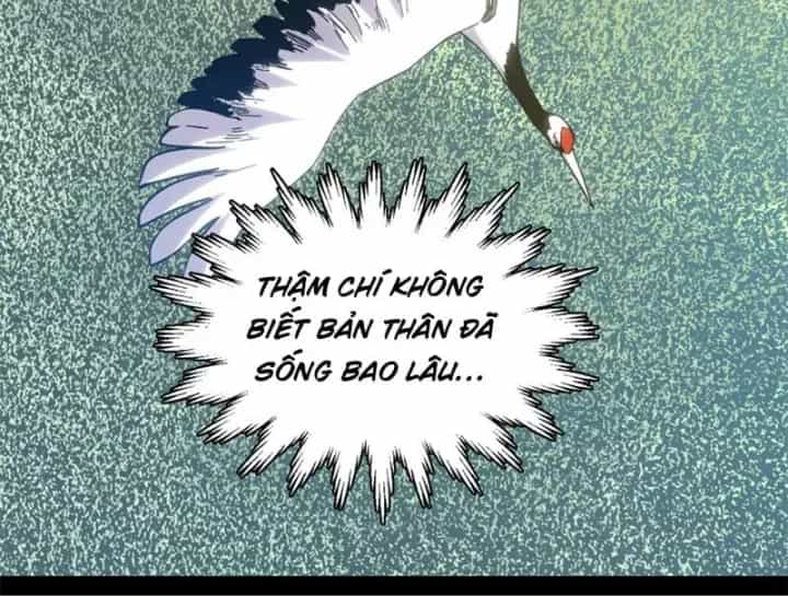 Đỉnh Cấp Khí Vận, Lặng Lẽ Tu Luyện Ngàn Năm - Chương 297.5 - ảnh 121