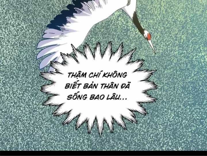 Đỉnh Cấp Khí Vận, Lặng Lẽ Tu Luyện Ngàn Năm - Chương 298 - ảnh 118