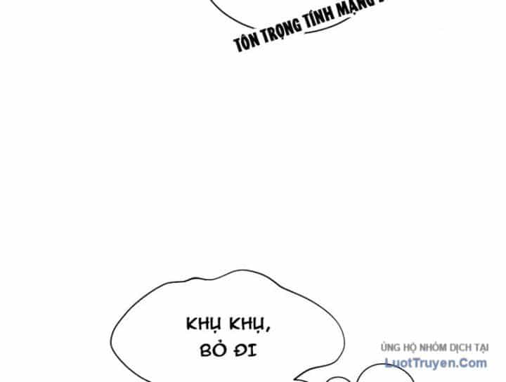 Đỉnh Cấp Khí Vận, Lặng Lẽ Tu Luyện Ngàn Năm - Chương 299.5 - ảnh 48